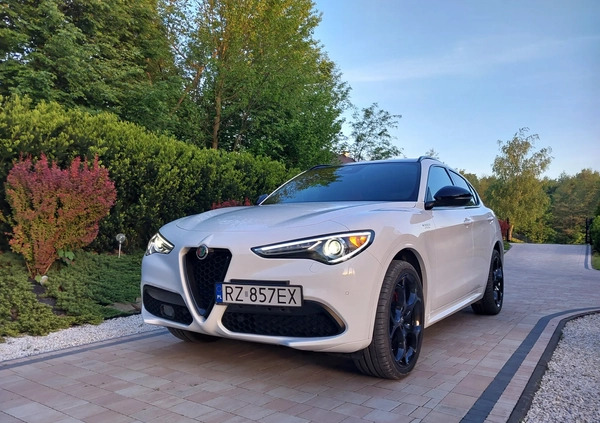 Alfa Romeo Stelvio cena 189000 przebieg: 11000, rok produkcji 2023 z Rzeszów małe 667